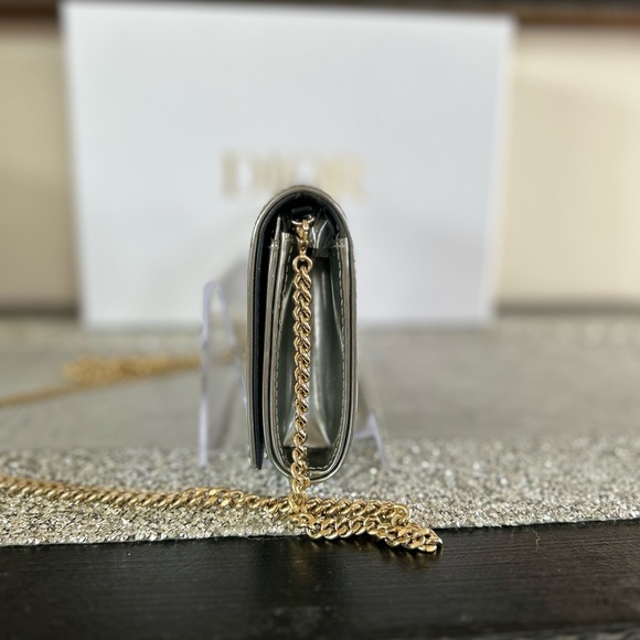 Dior Diorama Bag Silver With Gold Hardware - Picture 5 of 11